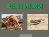 Класс рептилии