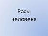 Расы человека. Человек на Земле