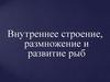 Строение, размножение и развитие рыб