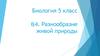 Разнообразие живой природы