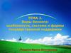 Виды бизнеса: особенности, система и формы государственной поддержки