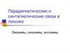 Парадигматические и синтагматические связи в лексике Омонимы, синонимы, антонимы. Лекция 4
