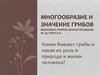 Многообразие и значение грибов