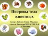Покровы тела животных