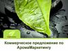 iQAroma. Коммерческое предложение по АромаМаркетингу