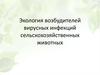 Экология возбудителей вирусных инфекций сельскохозяйственных животных