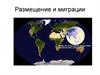 Размещение и миграции