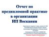 Преддипломная практика на предприятии ИП Восканян