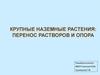 Крупные наземные растения: перенос растворов и опора. 5 класс