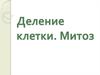 Деление клетки. Митоз