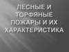 Лесные и торфяные пожары и их характеристика