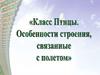 Класс птицы. Особенности строения, связанные с полетом