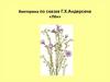 Викторина по сказке Г.Х.Андерсена «Лён»