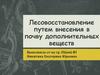 Лесовосстановление путем внесения в почву дополнительных веществ