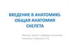 Введение в анатомию. Общая анатомия скелета