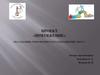 Проект «Притяжение» по созданию добровольческого объединения «МОСТ»