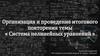 Система нелинейных уравнений. Организация и проведение итогового повторения