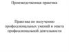 Практика по получению профессиональных умений и опыта профессиональной деятельности