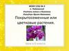 Покрытосеменные или цветковые растения.  6 класс