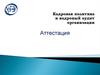Кадровая политика и кадровый аудит организации. Аттестация