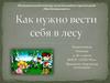Как нужно вести себя в лесу
