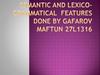 Semantic and lexico-grammatical  features