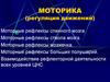 Моторика (регуляция движений)