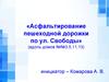 Асфальтирование пешеходной дорожки по ул. Свободы. Инициативное предложение
