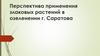 Перспектива применения злаковых растений в озеленении г. Саратова