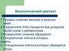 Значение водорослей. Биологический диктант