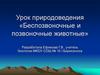 Беспозвоночные и позвоночные животные