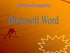 Текстовый редактор Microsoft Word