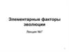 Элементарные факторы эволюции
