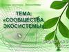 Сообщества. Экосистемы