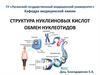 Структура нуклеиновых кислот. Обмен нуклеотидов