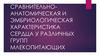 Сравнительно-анатомическая и эмбриологическая характеристика сердца у различных групп млекопитающих
