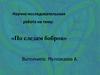 Научно-исследовательская работа на тему:  «По следам бобров»