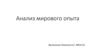 Анализ мирового опыта