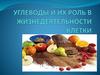 Углеводы и их роль в жизнедеятельности клетки