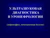 Ультразвуковая диагностика в уронефрологии (гидронефроз, мочекаменная болезнь)