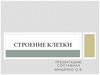 Строение клетки