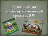 Организация экологоразвивающей среды в ДОУ