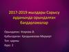 2017-2019 жылдары Сарысу ауданында орындалған бағдарламалар