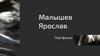 Малышев Ярослав. Портфолио