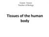 Tissues of the human body
