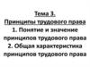 Принципы трудового права