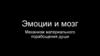 Эмоции и мозг. Механизм материального порабощения души