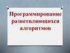 Программирование разветвляющихся алгоритмов