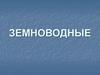 Земноводные. Строение земноводных. Приспособления земноводных