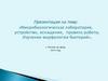 Микробиологическая лаборатория, устройство, оснащение, правила работы. Изучение морфологии бактерий